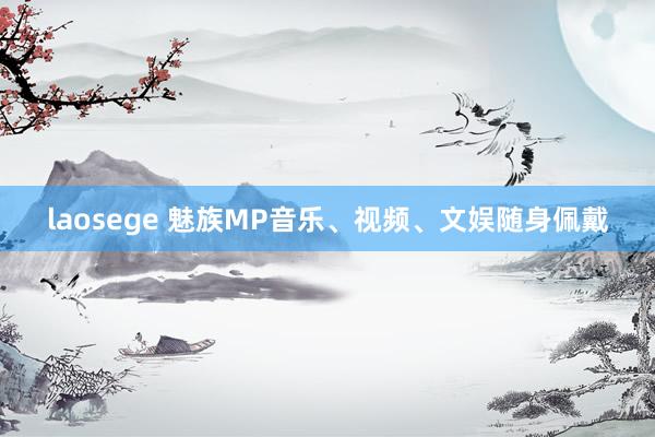 laosege 魅族MP音乐、视频、文娱随身佩戴