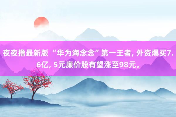 夜夜撸最新版 “华为海念念”第一王者， 外资爆买7.6亿， 5元廉价股有望涨至98元。