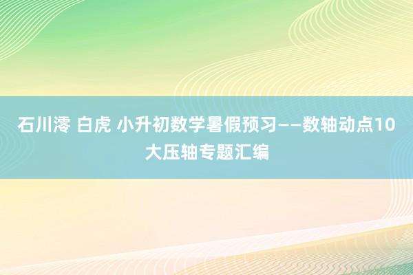 石川澪 白虎 小升初数学暑假预习——数轴动点10大压轴专题汇编