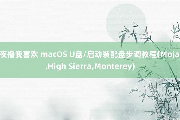 夜夜撸我喜欢 macOS U盘/启动装配盘步调教程(Mojave，High Sierra，Monterey)