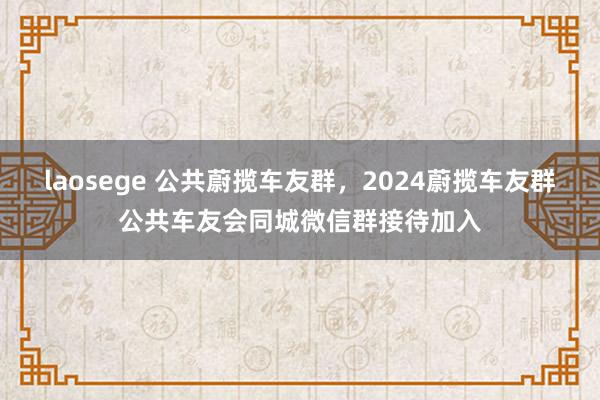 laosege 公共蔚揽车友群，2024蔚揽车友群公共车友会同城微信群接待加入