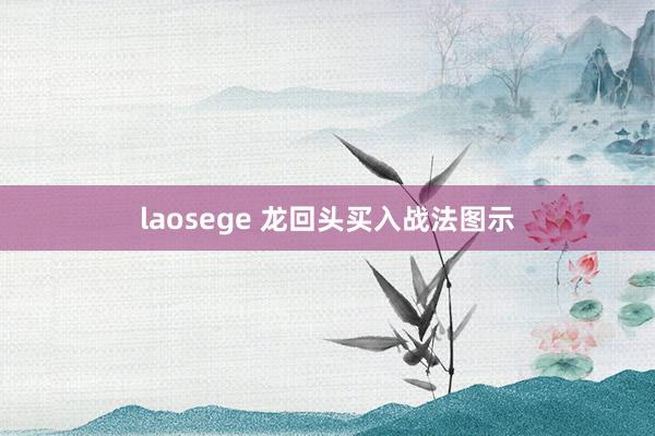 laosege 龙回头买入战法图示