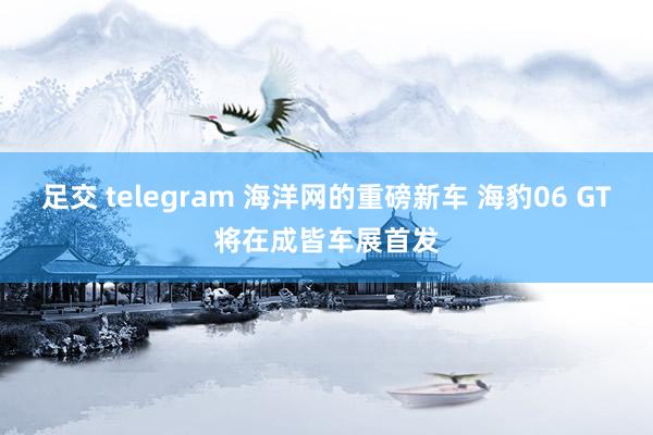 足交 telegram 海洋网的重磅新车 海豹06 GT将在成皆车展首发