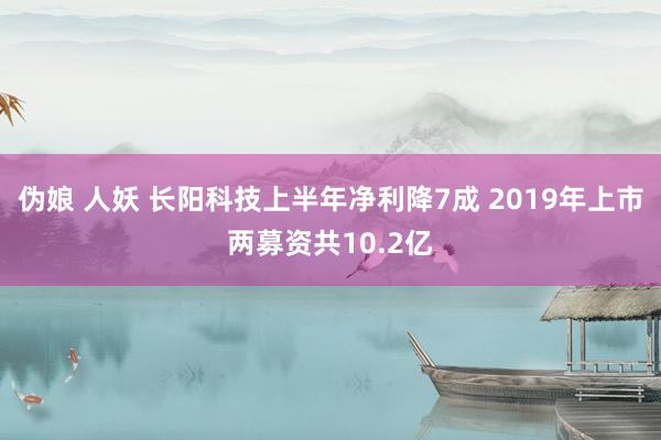 伪娘 人妖 长阳科技上半年净利降7成 2019年上市两募资共10.2亿