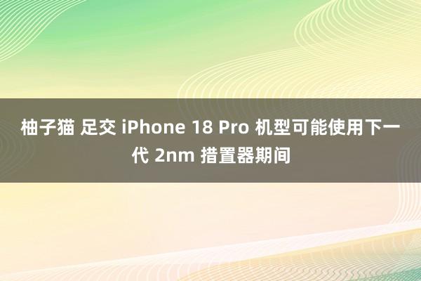 柚子猫 足交 iPhone 18 Pro 机型可能使用下一代 2nm 措置器期间