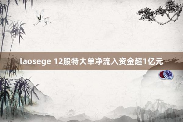 laosege 12股特大单净流入资金超1亿元