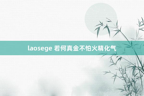 laosege 若何真金不怕火精化气