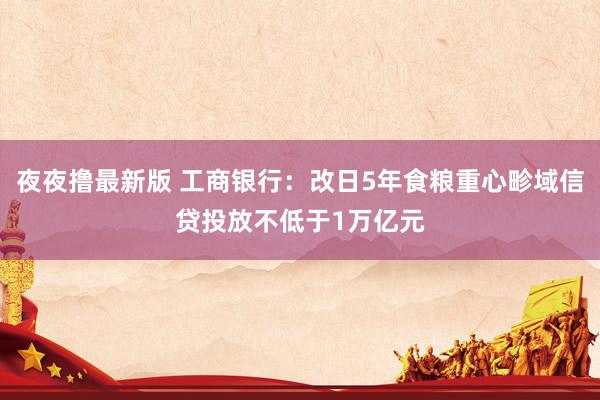 夜夜撸最新版 工商银行：改日5年食粮重心畛域信贷投放不低于1万亿元