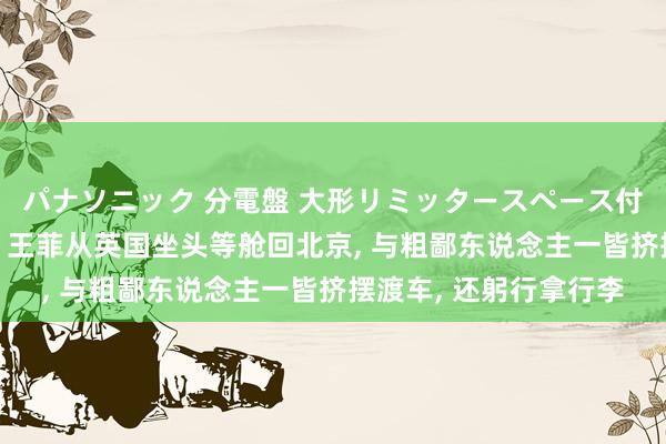 パナソニック 分電盤 大形リミッタースペース付 露出・半埋込両用形 王菲从英国坐头等舱回北京， 与粗鄙东说念主一皆挤摆渡车， 还躬行拿行李