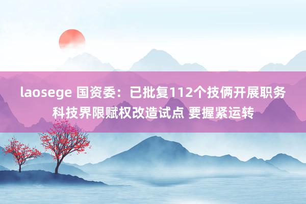 laosege 国资委：已批复112个技俩开展职务科技界限赋权改造试点 要握紧运转