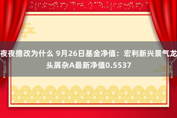 夜夜撸改为什么 9月26日基金净值：宏利新兴景气龙头羼杂A最新净值0.5537