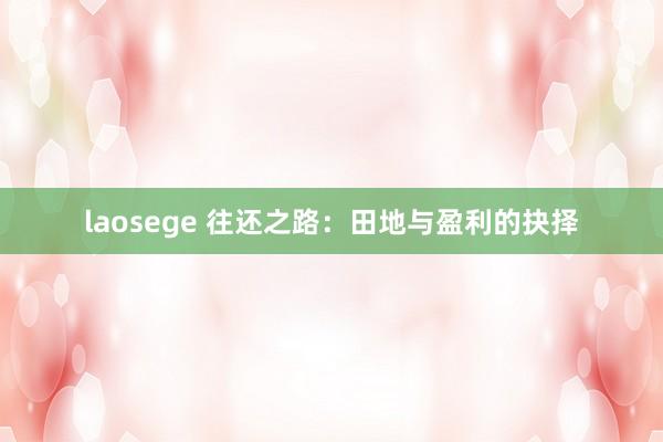 laosege 往还之路：田地与盈利的抉择