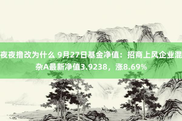 夜夜撸改为什么 9月27日基金净值：招商上风企业混杂A最新净值3.9238，涨8.69%