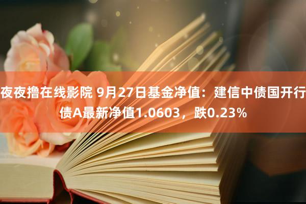 夜夜撸在线影院 9月27日基金净值：建信中债国开行债A最新净值1.0603，跌0.23%