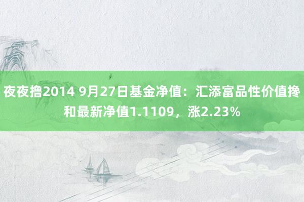 夜夜撸2014 9月27日基金净值：汇添富品性价值搀和最新净值1.1109，涨2.23%