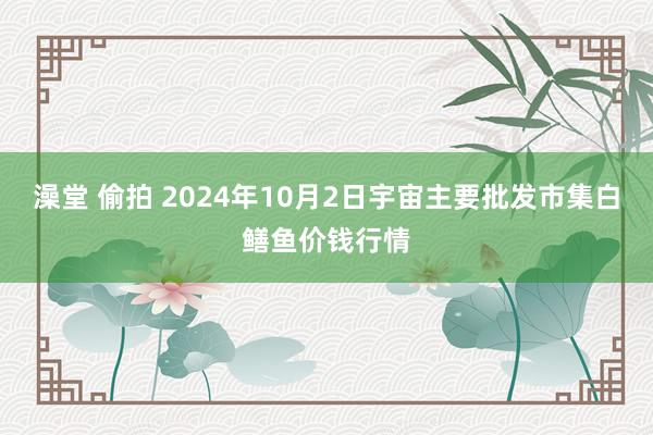 澡堂 偷拍 2024年10月2日宇宙主要批发市集白鳝鱼价钱行情