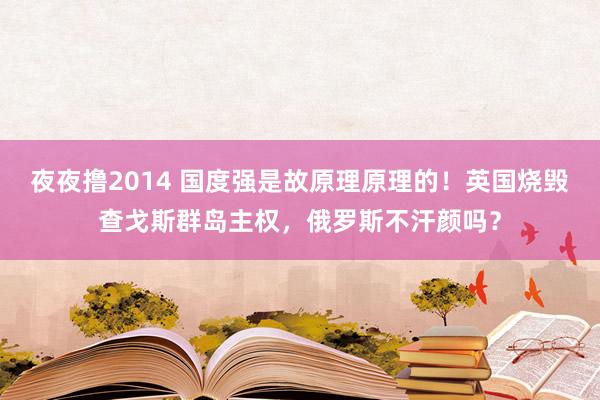 夜夜撸2014 国度强是故原理原理的！英国烧毁查戈斯群岛主权，俄罗斯不汗颜吗？