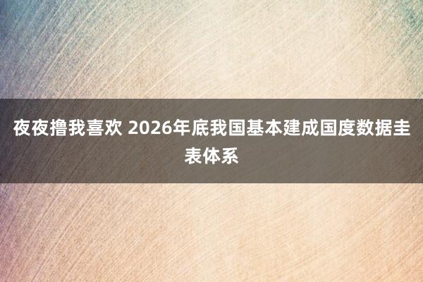 夜夜撸我喜欢 2026年底我国基本建成国度数据圭表体系