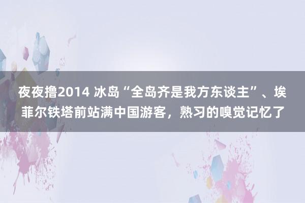 夜夜撸2014 冰岛“全岛齐是我方东谈主”、埃菲尔铁塔前站满中国游客，熟习的嗅觉记忆了