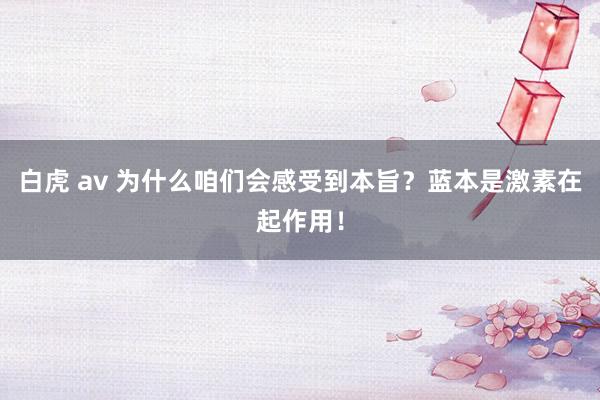 白虎 av 为什么咱们会感受到本旨？蓝本是激素在起作用！