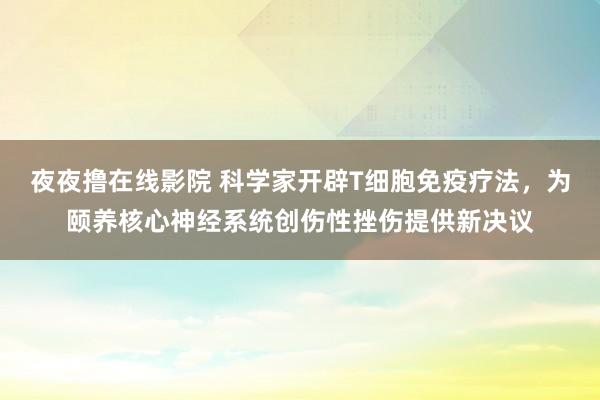 夜夜撸在线影院 科学家开辟T细胞免疫疗法，为颐养核心神经系统创伤性挫伤提供新决议