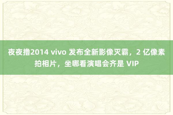 夜夜撸2014 vivo 发布全新影像灭霸，2 亿像素拍相片，坐哪看演唱会齐是 VIP