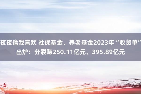 夜夜撸我喜欢 社保基金、养老基金2023年“收货单”出炉：分裂赚250.11亿元、395.89亿元