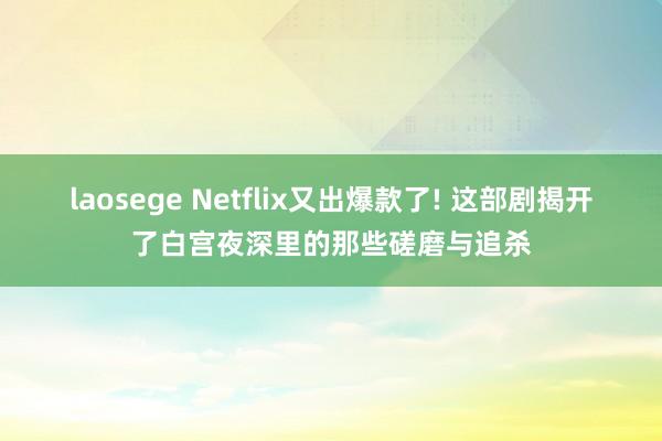 laosege Netflix又出爆款了! 这部剧揭开了白宫夜深里的那些磋磨与追杀