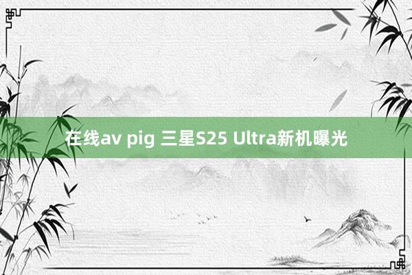 在线av pig 三星S25 Ultra新机曝光