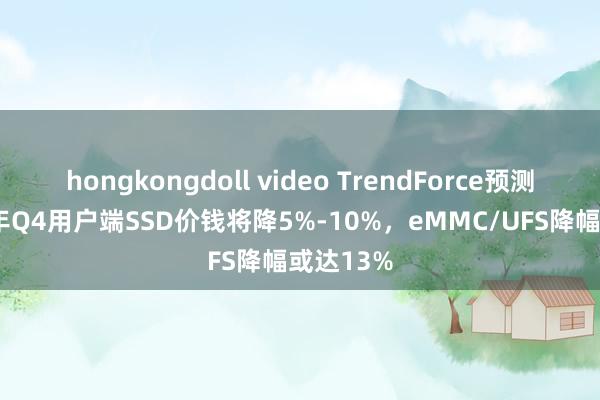 hongkongdoll video TrendForce预测：2024年Q4用户端SSD价钱将降5%-10%，eMMC/UFS降幅或达13%