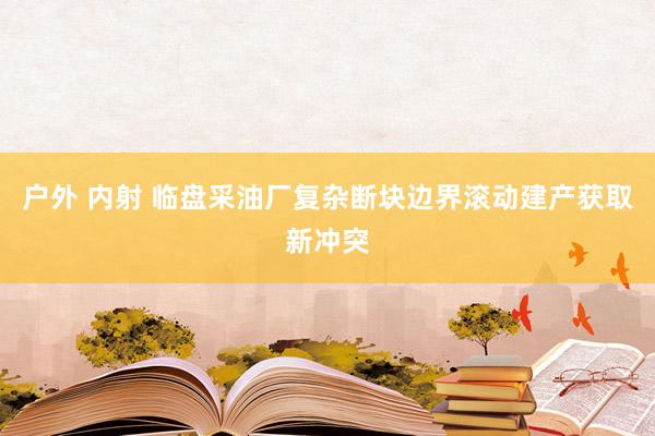 户外 内射 临盘采油厂复杂断块边界滚动建产获取新冲突