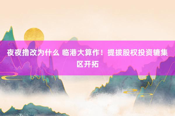 夜夜撸改为什么 临港大算作！提拔股权投资辘集区开拓