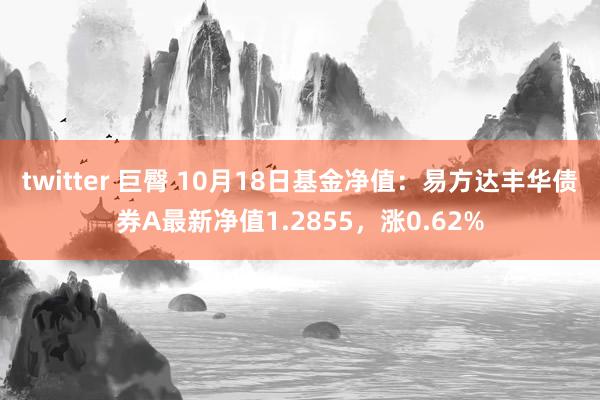 twitter 巨臀 10月18日基金净值：易方达丰华债券A最新净值1.2855，涨0.62%