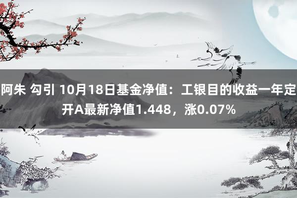 阿朱 勾引 10月18日基金净值：工银目的收益一年定开A最新净值1.448，涨0.07%