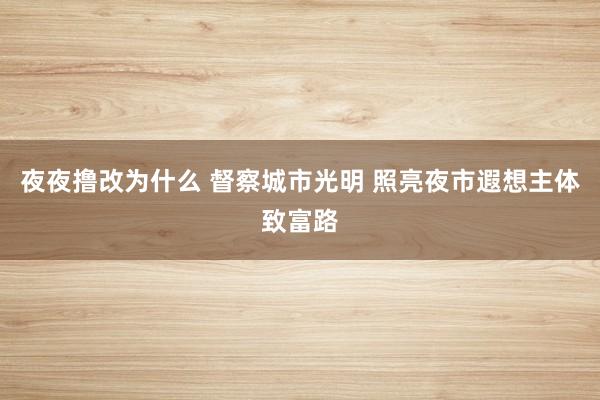 夜夜撸改为什么 督察城市光明 照亮夜市遐想主体致富路