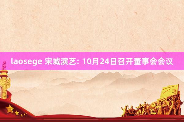 laosege 宋城演艺: 10月24日召开董事会会议