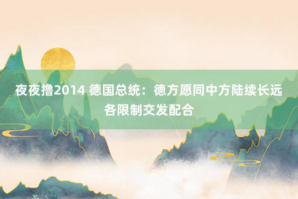 夜夜撸2014 德国总统：德方愿同中方陆续长远各限制交发配合