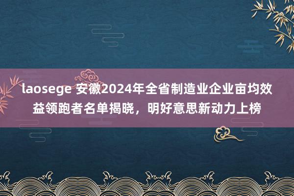 laosege 安徽2024年全省制造业企业亩均效益领跑者名单揭晓，明好意思新动力上榜