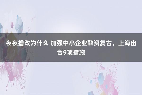 夜夜撸改为什么 加强中小企业融资复古，上海出台9项措施