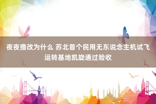 夜夜撸改为什么 苏北首个民用无东说念主机试飞运转基地凯旋通过验收