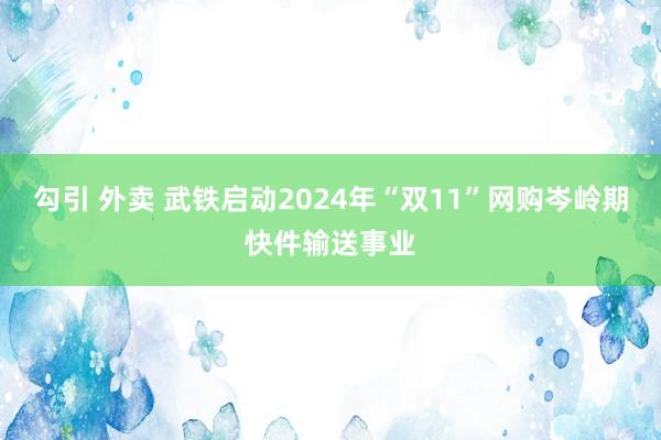 勾引 外卖 武铁启动2024年“双11”网购岑岭期快件输送事业