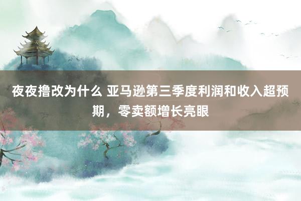 夜夜撸改为什么 亚马逊第三季度利润和收入超预期，零卖额增长亮眼