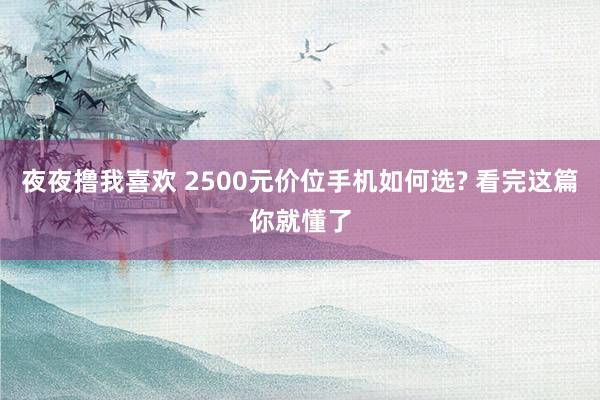 夜夜撸我喜欢 2500元价位手机如何选? 看完这篇你就懂了