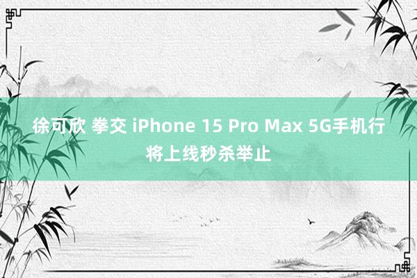 徐可欣 拳交 iPhone 15 Pro Max 5G手机行将上线秒杀举止