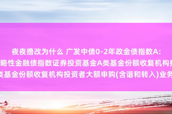 夜夜撸改为什么 广发中债0-2年政金债指数A: 对于广发中债0-2年策略性金融债指数证券投资基金A类基金份额收复机构投资者大额申购(含谐和转入)业务的公告