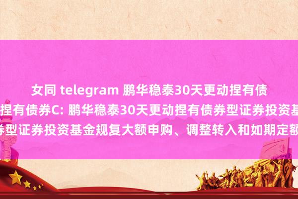 女同 telegram 鹏华稳泰30天更动捏有债券A，鹏华稳泰30天更动捏有债券C: 鹏华稳泰30天更动捏有债券型证券投资基金规复大额申购、调整转入和如期定额投资业务的公告