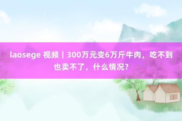 laosege 视频｜300万元变6万斤牛肉，吃不到也卖不了，什么情况？