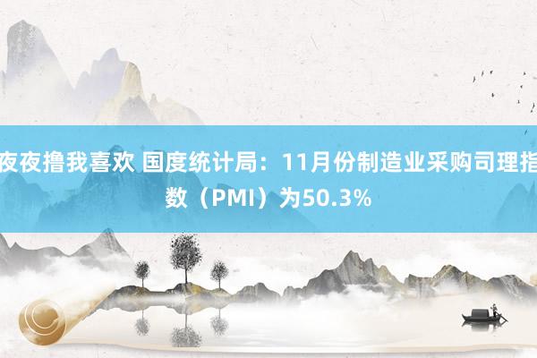 夜夜撸我喜欢 国度统计局：11月份制造业采购司理指数（PMI）为50.3%