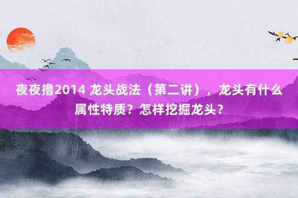 夜夜撸2014 龙头战法（第二讲），龙头有什么属性特质？怎样挖掘龙头？