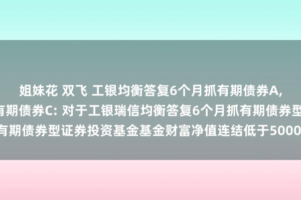 姐妹花 双飞 工银均衡答复6个月抓有期债券A，工银均衡答复6个月抓有期债券C: 对于工银瑞信均衡答复6个月抓有期债券型证券投资基金基金财富净值连结低于5000万元的辅导性公告